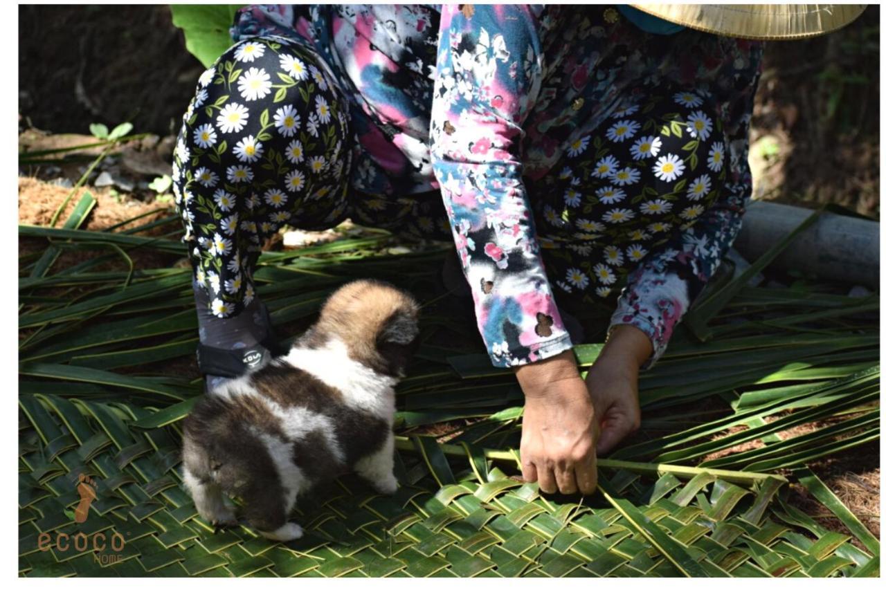 Ecoco Homestay Mekong Ben Tre Eksteriør billede