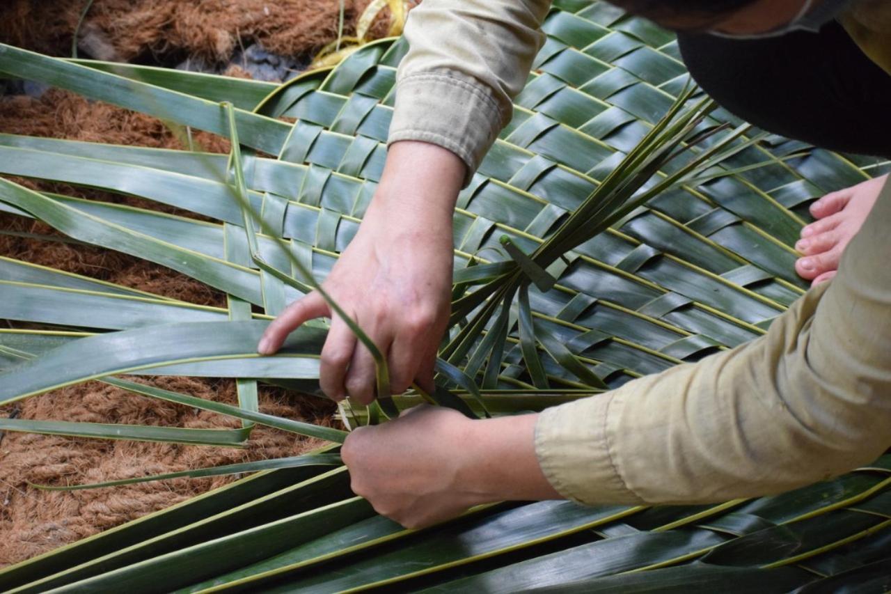 Ecoco Homestay Mekong Ben Tre Eksteriør billede