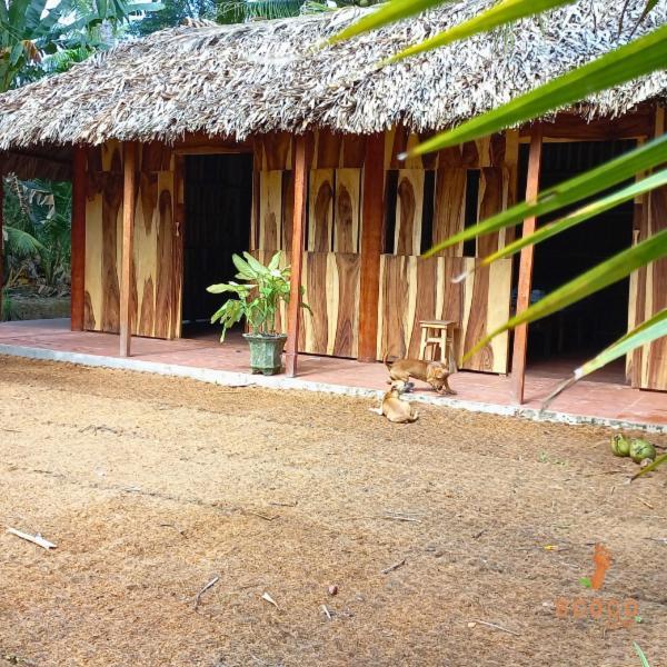 Ecoco Homestay Mekong Ben Tre Eksteriør billede